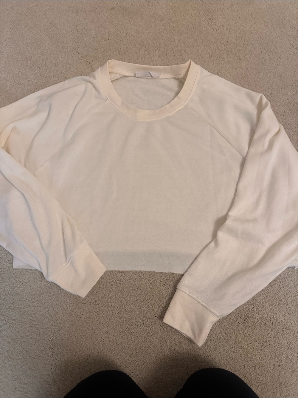 Double Zero Cropped Crewneck Sweatshirt in Cream